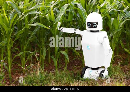 l'agricoltore robotico sta di fronte a un campo di mais, concetti come la tecnologia in agricoltura o robot ai autonomi nell'industria agricola Foto Stock