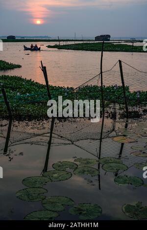 Un backwater in Kerala. Da una serie di foto di viaggio in Kerala, India del sud. Data Della Foto: Martedì 14 Gennaio 2020. Foto: Roger Garfield/Alamy Foto Stock