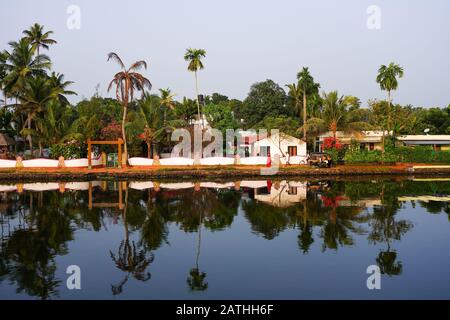 Un backwater in Kerala. Da una serie di foto di viaggio in Kerala, India del sud. Data Della Foto: Mercoledì 15 Gennaio 2020. Foto: Roger Garfield/Alamy Foto Stock