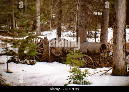 Un modello di prima produzione J.I. Case Threshing Machine Company trattore a motore a vapore, nella neve, in una zona boscosa, a Noxon, Montana. Foto Stock