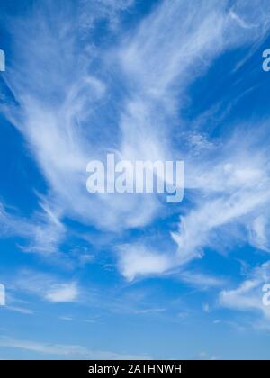 Formazione di nubi bianche con un vibrante cielo blu. Perry Green, Molto Hadham, Hertfordshire. REGNO UNITO Foto Stock