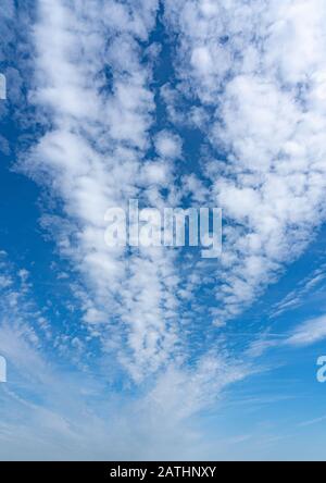 Formazione di nubi bianche con un vibrante cielo blu. Perry Green, Molto Hadham, Hertfordshire. REGNO UNITO Foto Stock