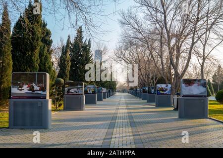 Baku, Azerbaigian 27 Gennaio 2020 - Alley Nel Baku Central Park. Foto Stock