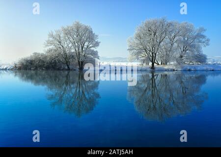 Fredda giornata invernale presso il fiume Saale, alberi coperti di ghiaccio e neve, acqua riflessione, il parco di natura inferiore valle Saale, Sassonia-Anhalt, Germania Foto Stock