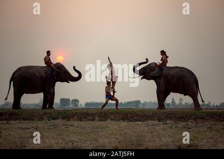 Muay Thai combattimenti e mahout elefanti e questa è la cultura tradizionale in Chang Village Surin Thailandia. Foto Stock