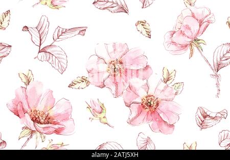 Acquerello Briar fiori motivo senza cuciture. Illustrazione a mano botanica. Foglie di rosa, boccioli e foglie di inchiostro su bianco per matrimoni, superfici, tessuti Foto Stock