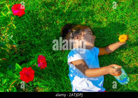 Bambina felice sull'erba Foto Stock