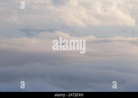 Paesaggio foggy e la piccola foresta nella vista aerea Foto Stock