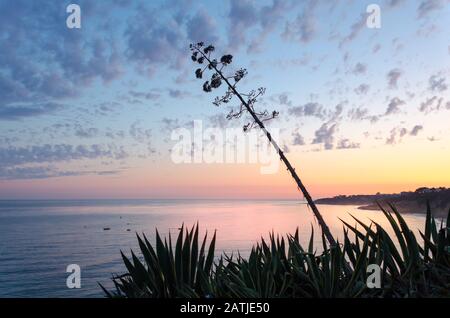 Tramonto sulla spiaggia di Santa Eulalia a Albufeira, regione dell'Algarve, Portogallo Foto Stock