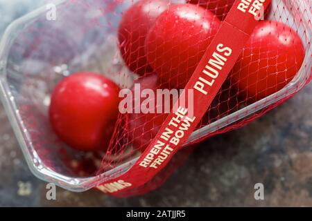 Le Prugne rosse Maturano nel Bowl Foto Stock