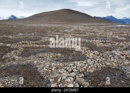 Parzialmente fuso e crollato lithalsas - tumuli pesantati trovati in permafrost - strutture circumulari di sinistra sulla tundra, Arcipelago Svalbard, Norvegia Foto Stock