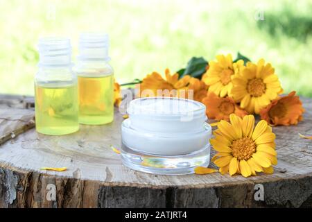 Crema nutriente con estratto di calendula con fiori di calendula freschi su sfondo ligneo in natura. Dermatologia Medica. Foto Stock