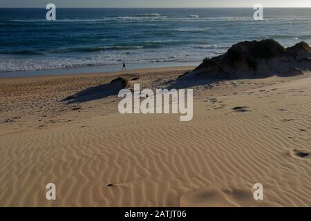 Una donna che fa una passeggiata spensierata lungo la spiaggia accanto alle torreggianti dune di sabbia della Baia della Sardegna vicino a Port Elizabeth, Capo Orientale, Sud Africa Foto Stock