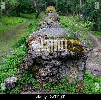 Il Muro Atlantico Hankley Comune Surrey Inghilterra Canadese Royal E. Foto Stock