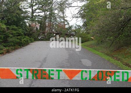 Strada chiusa barriera con albero caduto visto nella parte posteriore Foto Stock