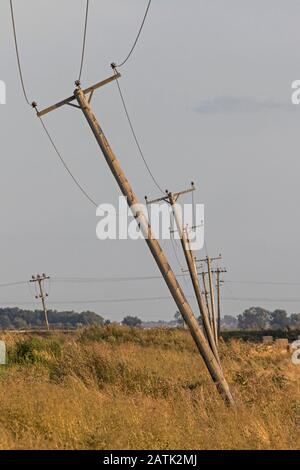 Pali del telegrafo pendente, nei Fens, vicino Haddenham, Cambridgeshire, Inghilterra Foto Stock