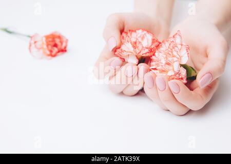 Belle mani femminili che tengono garofani su uno sfondo bianco. Concetto di cancro ovarico, infertilità Foto Stock