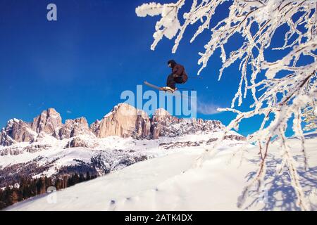 Lo sciatore salta in fresca freeride neve in montagna Alpi contro sfondo foresta Foto Stock