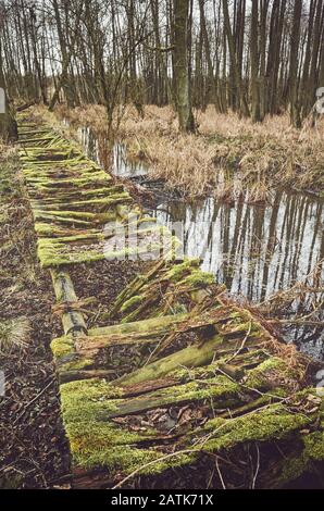 Vecchio ponte di legno rotto in una foresta di paludi d'acqua dolce, tonificante colore applicato. Foto Stock