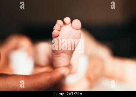 Piedi del bambino nelle mani di madre. Piccolo Neonato con i piedi sul sagomato femmina closeup mani. La mamma e il suo bambino. Happy Family concept. Bella immagine concettuale della maternità Foto Stock