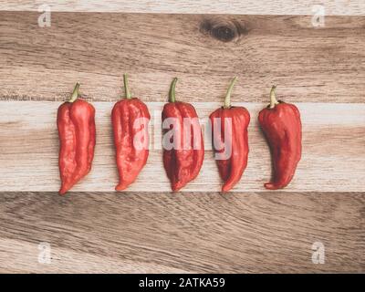 Decorazione di peperoncino su tavola wodden. Cinque baut jolokia su sfondo di legno Foto Stock