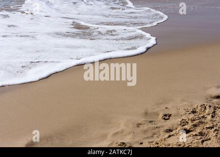 Primo piano di una spiaggia di sabbia con acqua schiumosa Foto Stock