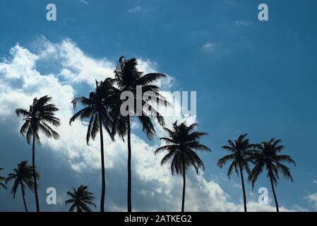 Costa Panoramica Di Puerto Rico, Isla De Cabras Foto Stock