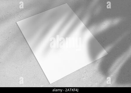 Poster rettangolare verticale vuoto o cartoncino mockup con foglie di palma ombre Foto Stock