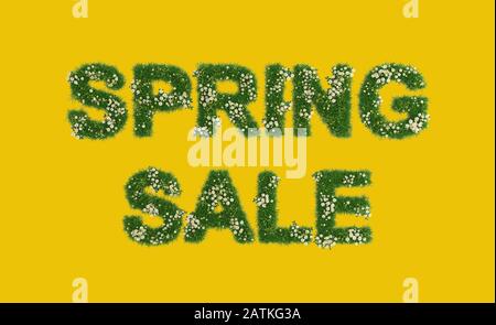 Primavera vendita banner concetto, lettere in erba e margherite, sfondo giallo ambra, mock-up, isolato, rendering 3d, illustrazione 3d Foto Stock