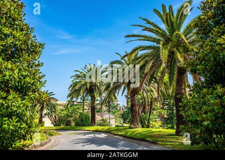 Roma, Città del Vaticano / Italia - 2019/06/15: Vista panoramica dei vicoli dei Giardini Vaticani nello Stato della Città del Vaticano Foto Stock
