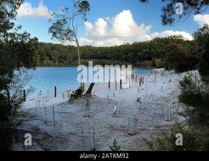 White Sand Beach Al Crystal Clear Rain Water Lake Mckenzie Su Fraser Island Queensland Australia Foto Stock