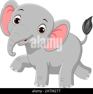 Cute baby elefante isolato su sfondo bianco Illustrazione Vettoriale