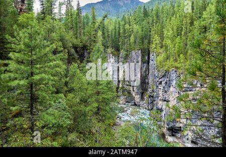 Canyon del fiume di montagna in taiga siberiana scuro conifere. Sayan Orientale. Buryatia Foto Stock