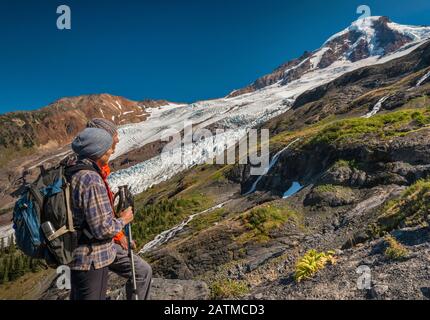 Escursionisti che guardano il vulcano di Mount Baker, i ghiacciai Roosevelt e Coleman, North Cascades, Mount Baker Wilderness, Washington state, USA Foto Stock