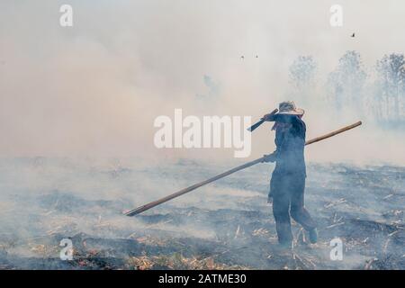 Illuminazione contadino thailandia controllato prato campo combustione. Foto Stock