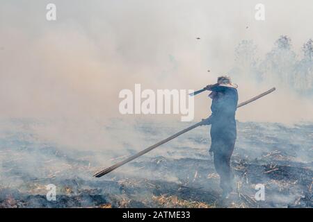 Illuminazione contadino thailandia controllato prato campo combustione. Foto Stock