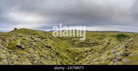 Vista panoramica del tappeto di muschio, muschio e lichen sui campi di lava. Islanda bellissimo paesaggio. Foto Stock