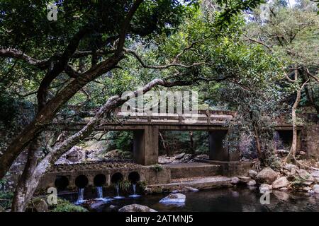 Un ponte sul Wilson Trail nel Shing Mun Country Park, Hong Kong Foto Stock