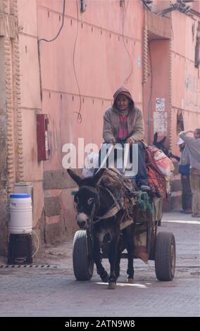 Un uomo marocchino che guida il suo carrello asino pieno di tappeti e tappeti per la vendita nel souk di Marrakech Foto Stock