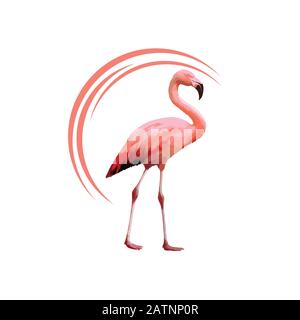 Fenicotteri rosa. Cute fenicottero animale natura esotica fauna selvatica zoo uccello becco piumaggio gambe tropicale africano spiaggia arte, cartone animato vettore Illustrazione Vettoriale