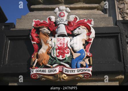 Stemma fuori dal Municipio, Cathays Park, Cathays, Cardiff, Galles, Regno Unito Foto Stock