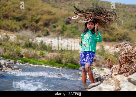 Halon Dam India Feb 02.2020 : piccola ragazza che attraversa il fiume con un fascio di rami di alberi secchi sulla sua testa. Foto Stock