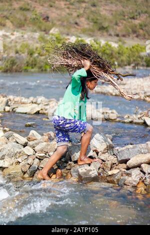 Halon Dam India Feb 02.2020 : piccola ragazza che attraversa il fiume con un fascio di rami di alberi secchi sulla sua testa. Foto Stock