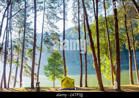 Avventure Camping turismo e tenda sotto la vista pineta paesaggio vicino acqua all'aperto al mattino e tramonto cielo a Pang Oung, Royal Forest Park, Foto Stock