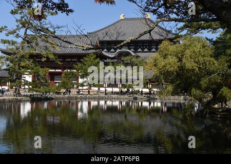 Colori autunnali nel giardino del Tempio Todai-ji Foto Stock