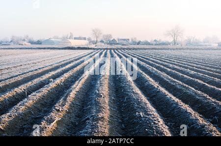 Campo di fattoria invernale pronto per la nuova stagione di semina. Lavori agricoli preparatori per la primavera. Agricoltura e agroalimentare. Scegliere il momento giusto per la scrofa f Foto Stock