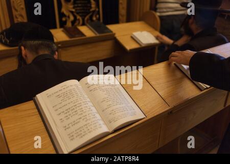 Il peuple ebraico prega e legge gli scributures Foto Stock