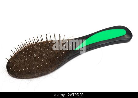Pettine nero con capelli, isolato su sfondo bianco Foto Stock