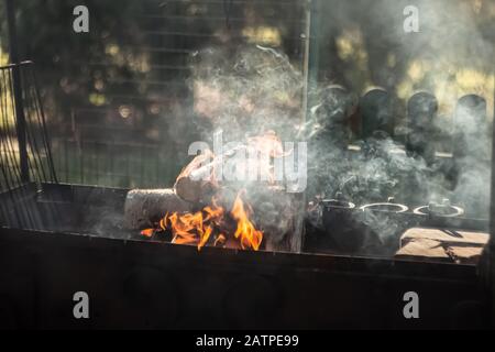 Legna da ardere brucia in un barbecue di metallo forgiato Foto Stock