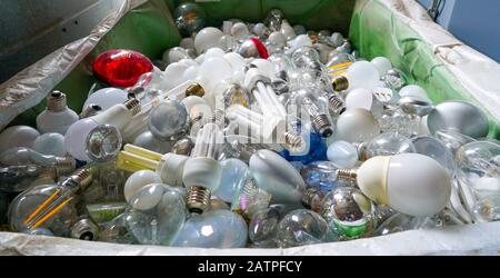 Una vista selettiva di fuoco di un grande contenitore di riciclaggio riempito con molte lampadine di colore e di formato differente Foto Stock